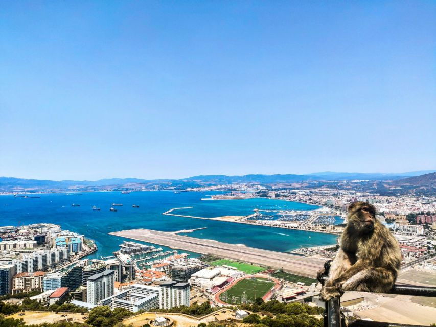 Gibraltar: Premium Private Day Trip & Rock Tour - Good To Know