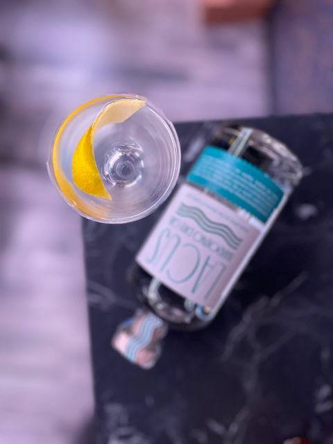 Gin & Waves: Gin Tour on Lake Garda