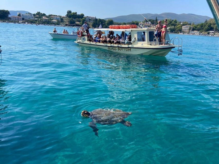 Glass Boat Cruises to Spot Turtles