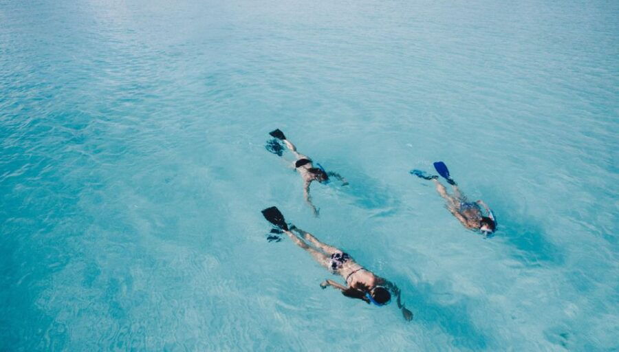 Golphin Bay: Rubber Boat Tour With Marine Biologist