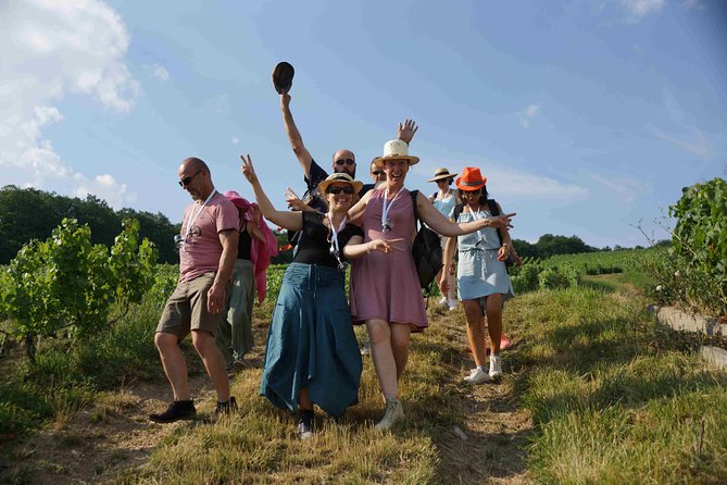 Gourmet Walk in the Heart of the Vineyards With Champagne Tasting Near Epernay - Good To Know