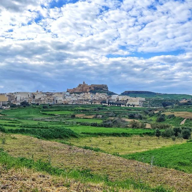 3 Best Wine Tours In Gozo