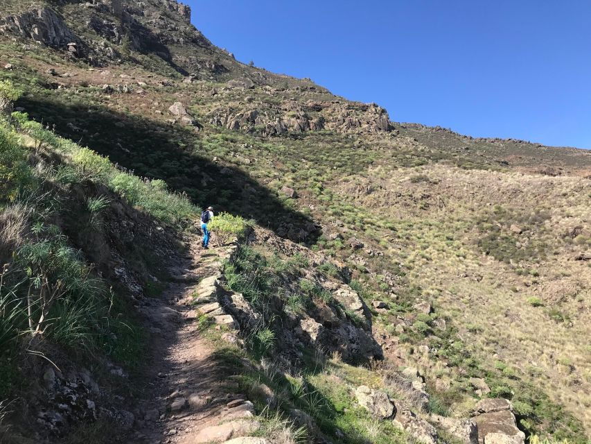 GRAN CANARIA (SPAIN): Hiking & Yoga in Tamadaba
