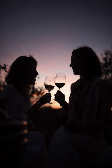 Gran Cru Wines Tasting - Mocenni Estate - Booking Information