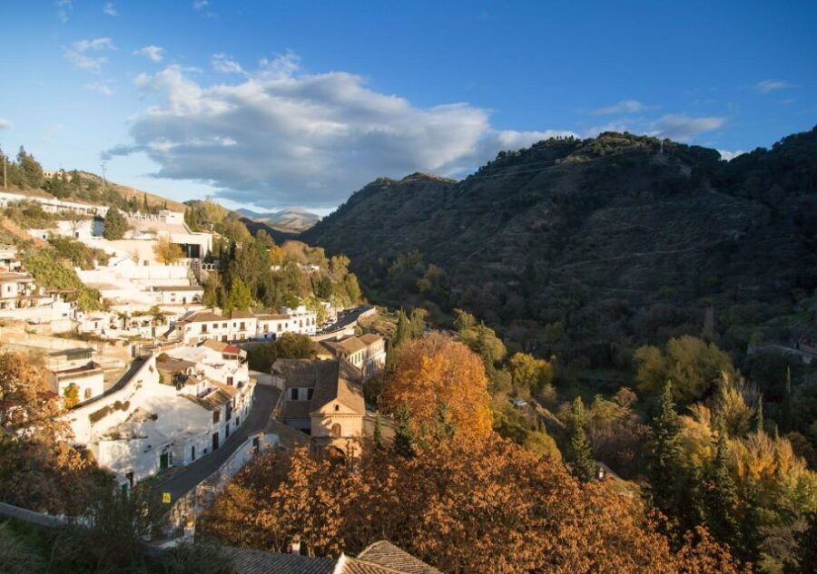 Granada: Half-Day 4-Neighborhoods 4-Cultures Private Tour - Group Size and Languages