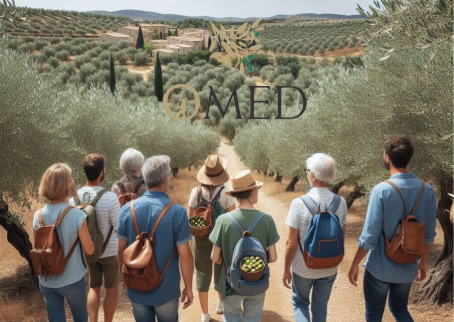 Granada in EVOO: Olive Grove Guided Tour and Sensory Tasting