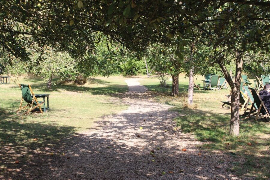 Grantchester: Walking Tour of TV Show Locations - Good To Know