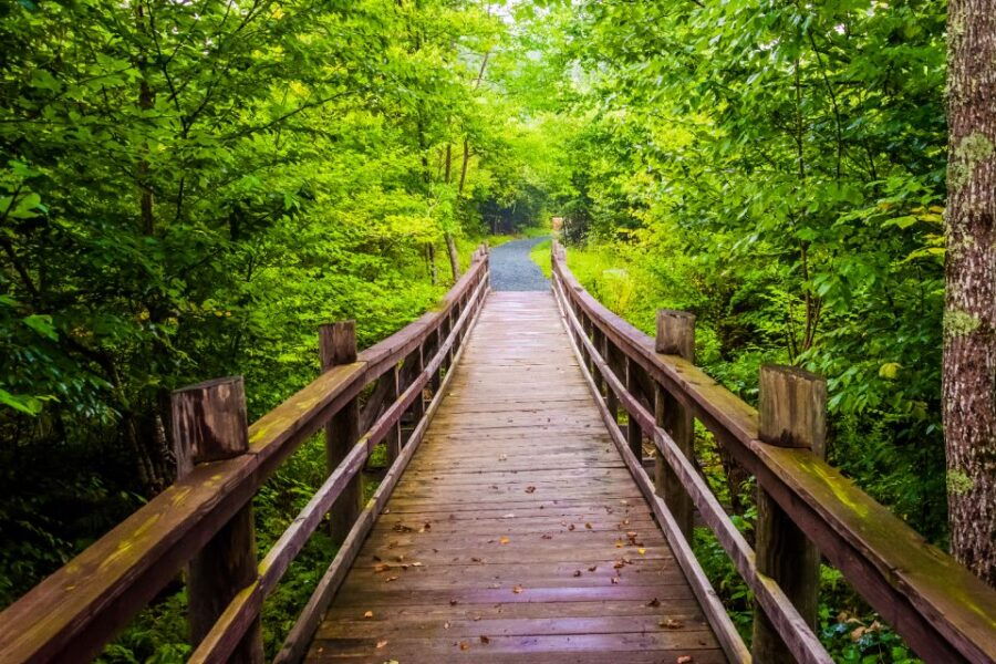 Great Smoky & Shenandoah National Park Driving Audio Tour