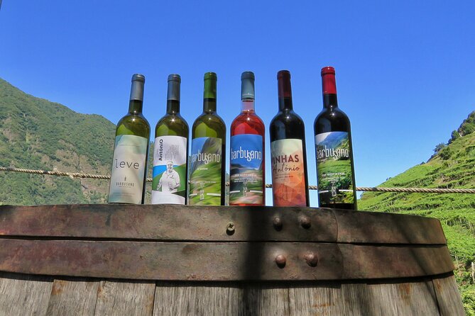 Guided 4×4 Adventure and Skywalk With Wine and Tapas in Madeira