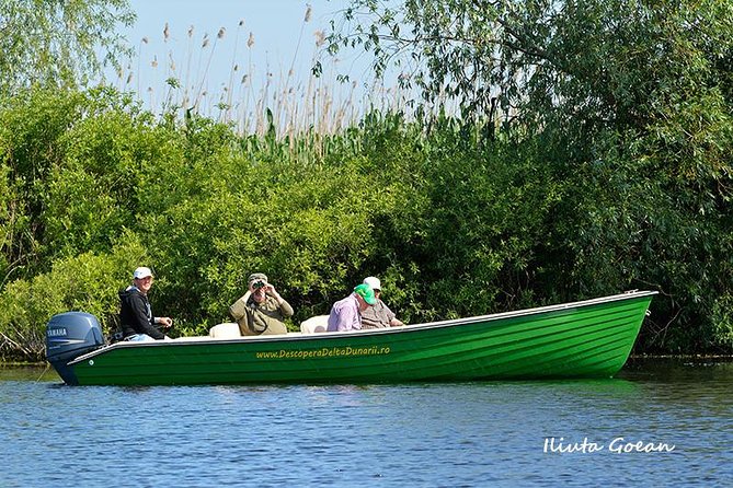 Guided Birdwatching Day Trip to the Danube Delta - Private Program