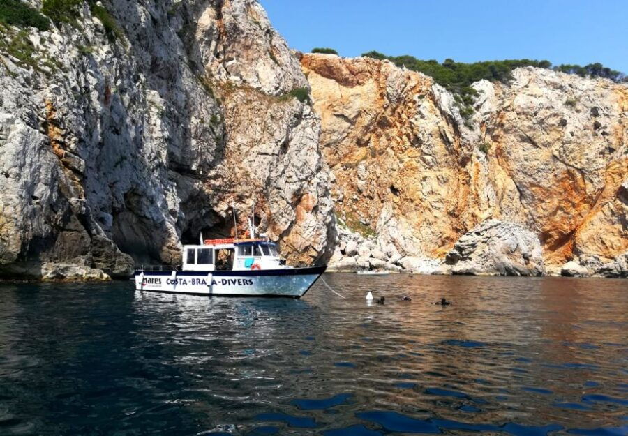 Guided Boat Tour to Medes Islands & Roca Foradada With Swim
