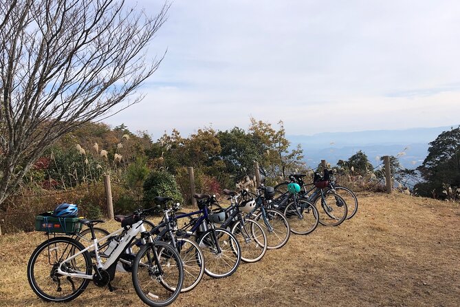 2 Best Guided Tours In Oita