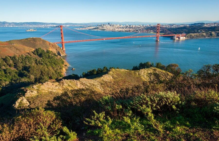 Guided Electric Bike Tour to Muir Woods - Good To Know