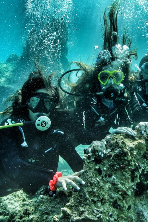 Guided Scuba Diving Experience in Paros - Booking Information