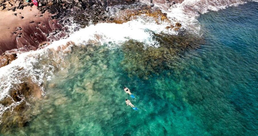 Guided Snorkeling Experience - Pricing Information