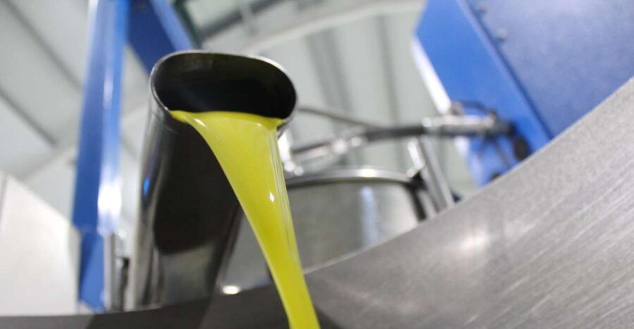 Guided Tour and Oil Tasting at the Aceites Molisur Factory