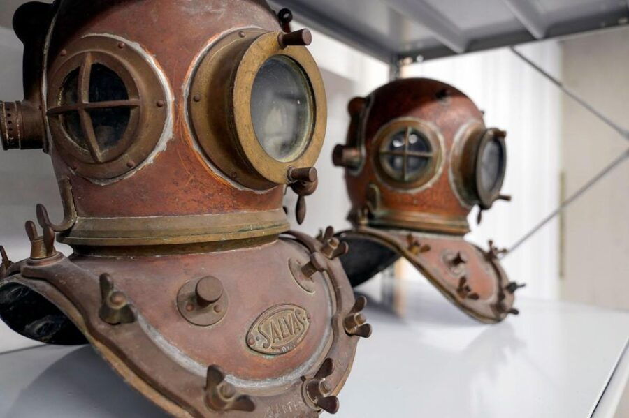 Guided Tour of the Study Collections and Museum Entrance - Activity Highlights