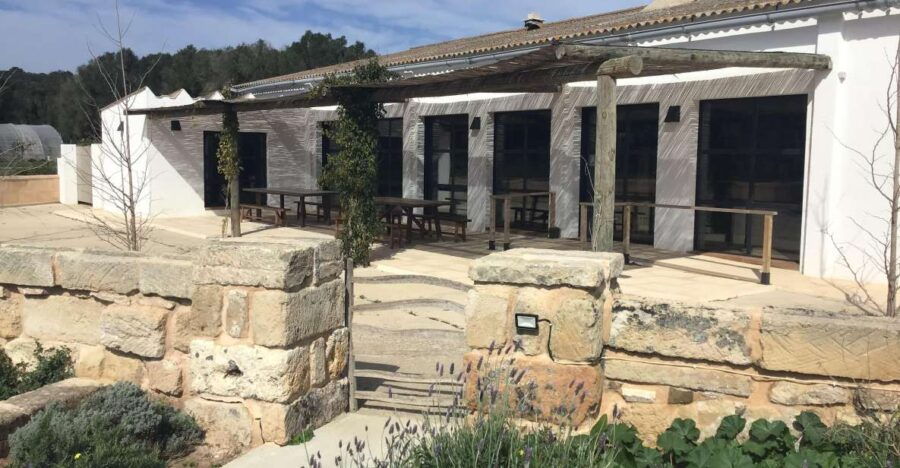 GUIDED TOUR + TASTE IN A MUSHROOM FARM