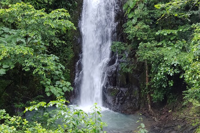 Guided Tour to Filipina Falls in Sora From Panama City