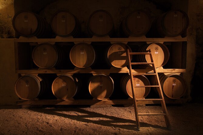 Guided Wine Tasting In Puglia
