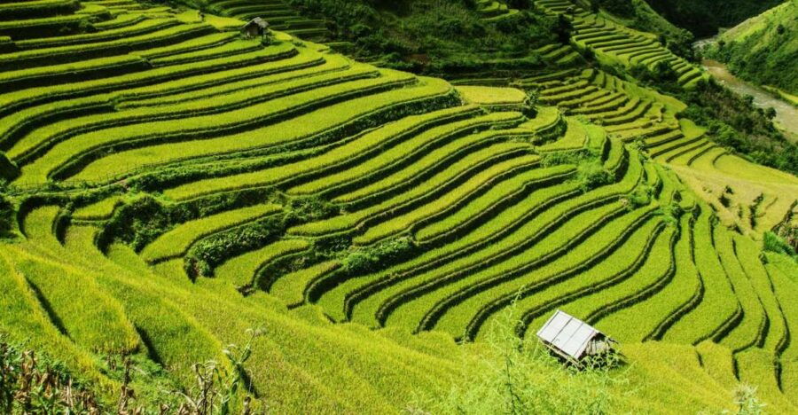 Guilin Longji Terraces Private Day Tour