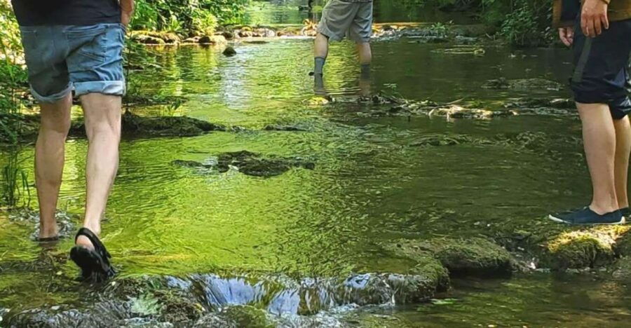Gye-Sur-Seine: Randeau - Hike With Your Feet in the Water - Good To Know