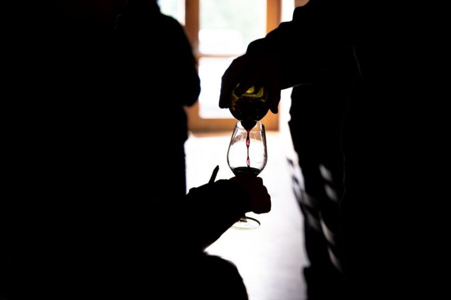 Half Day Bike Guided in Beaujolais - Mont Brouilly and Wine - Experience Highlights