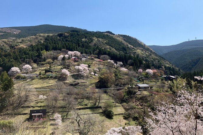 Half Day Countryside Tour in Shinshiro Japan