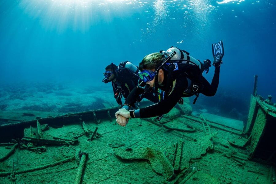 Half Day Dive Trip for Certified Divers
