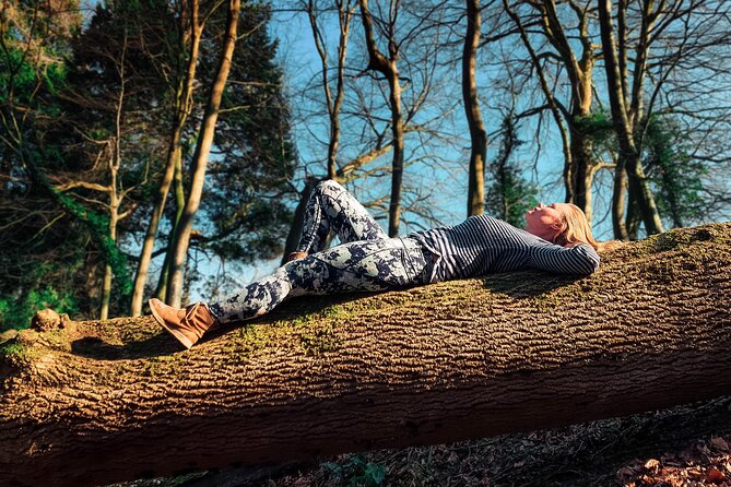 Half-day Forest Bathing and Yoga in Brightons Woodlands