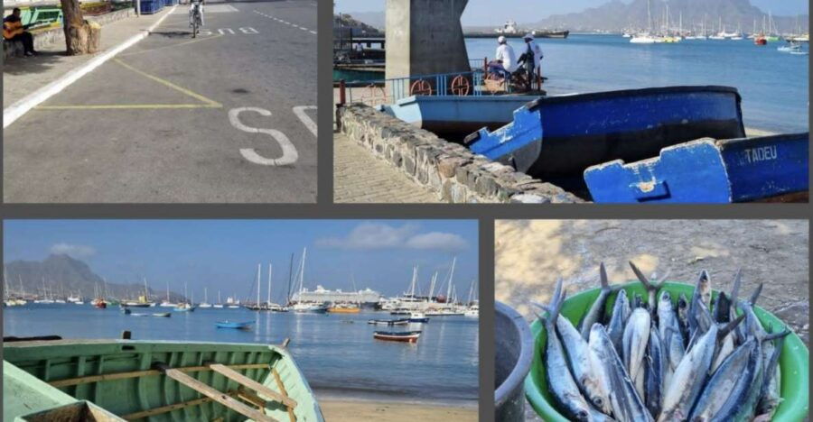 Half Day Island Tour, Best of São Vicente, Highlights
