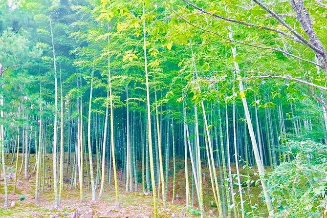 Half-Day Private Guided Tour in Kyoto, Arashiyama - Good To Know