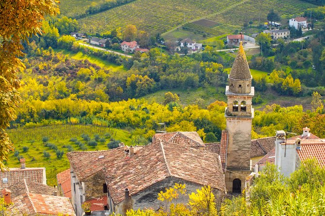 Half Day Trip to Motovun With Truffle and Local Brandies Tasting - Good To Know