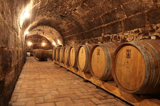 Half-Day Wine Tasting Tour in Etyek Wine Country Near Budapest