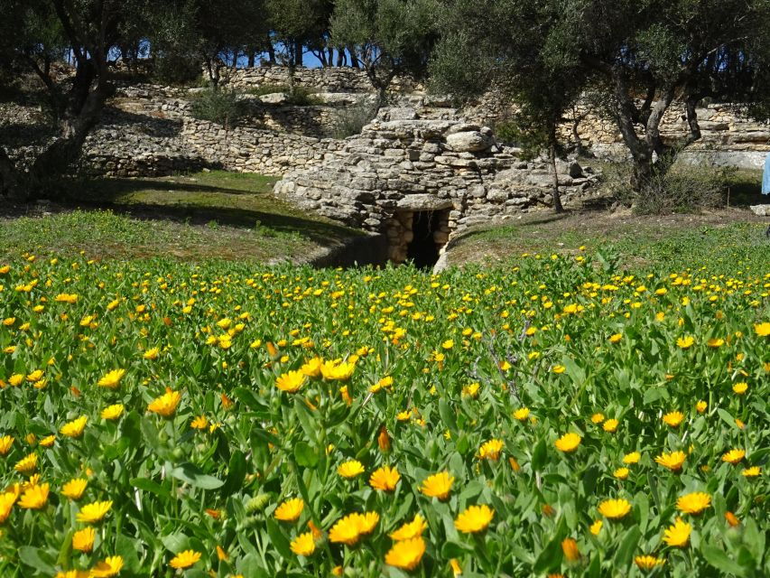 Heraklion: Springtime Plant Walk and Birdwatching in Nature