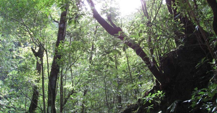 Hidden Corners, the Kings Levada Full Day Hike