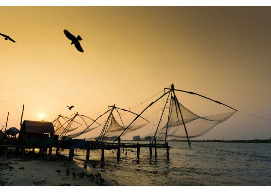 Highlights of Kochi, Guided Half-Day Tour by Car - Good To Know
