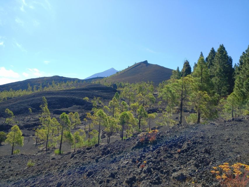 Hike Classic Tenerife - Reservation Information