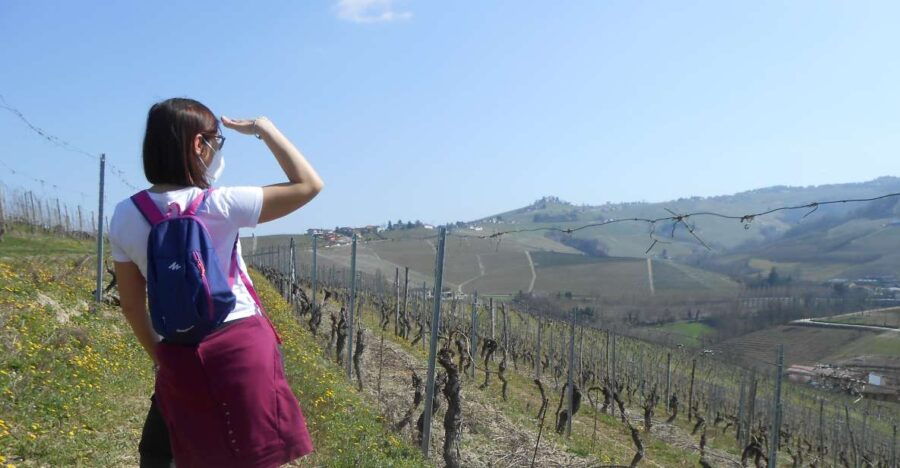 Hiking and Wine Tour Starting From Alba - Good To Know