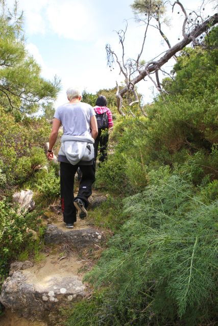 Hiking Filerimos | 3 Hours | Sandwich Included