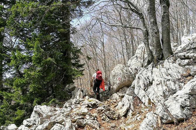 Hiking - Hike Toru Klek - Good To Know