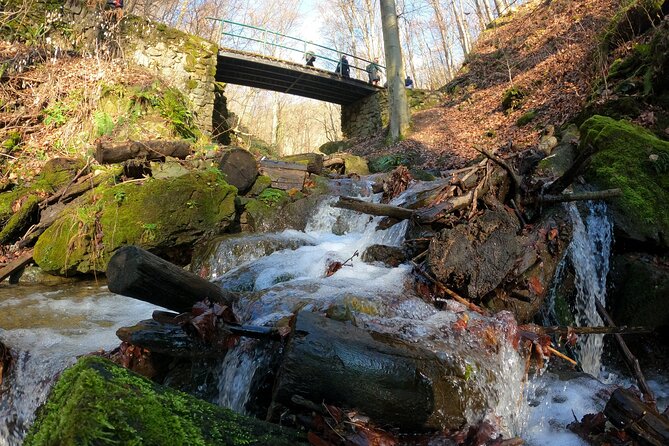 Hiking Medvednica & Medvedgrad Castle