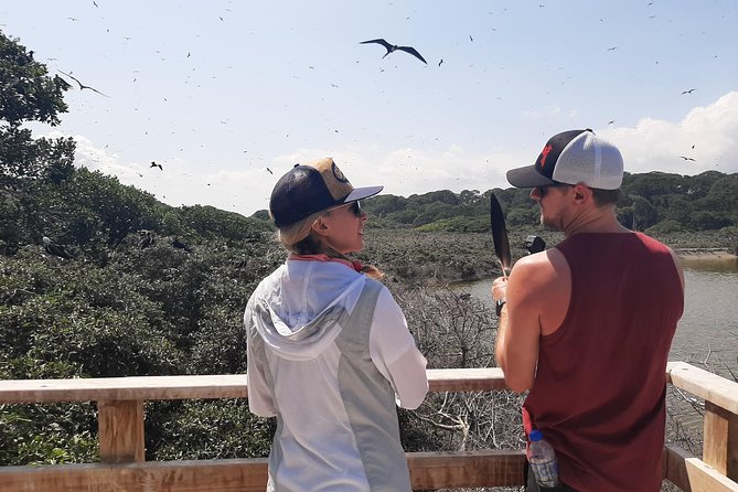 Hiking on the Birds Island and Dolphin Watching in Puerto El Morro - Good To Know