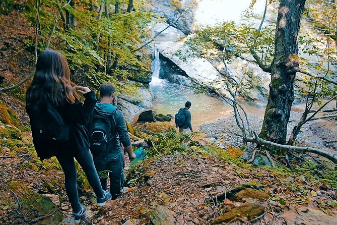 Hiking Tour Lost in the Forest - Good To Know