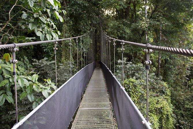 Hire Costa Rica Driver for 10-Hour (Solo Traveler)