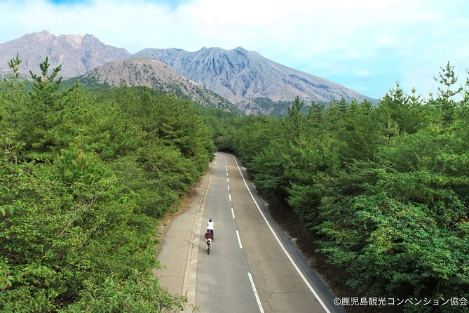 Historical Hill Climb E-bike Tour to Sakurajimas Peak