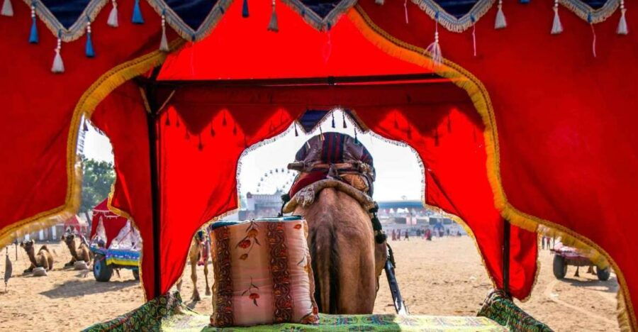 Holy Pushkar and Ajmer Trails (Guided Full Day Tour) - Good To Know