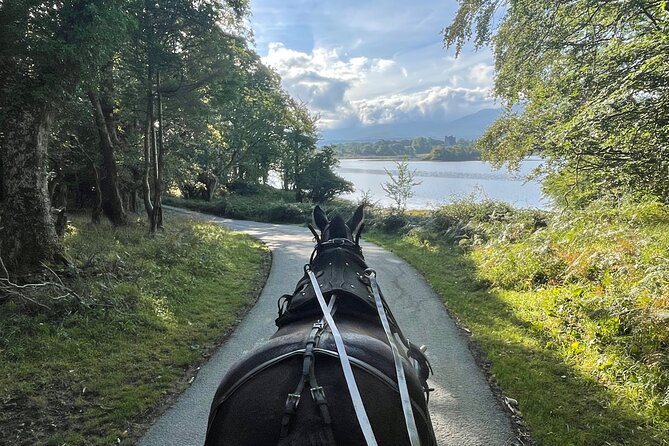 Horse-Drawn Carriage Tours in Killarney