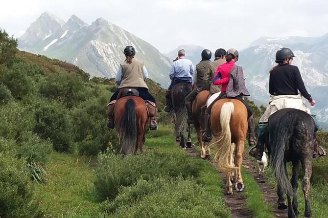 Horse Riding Madrid Natural Park (long Trip) - Good To Know