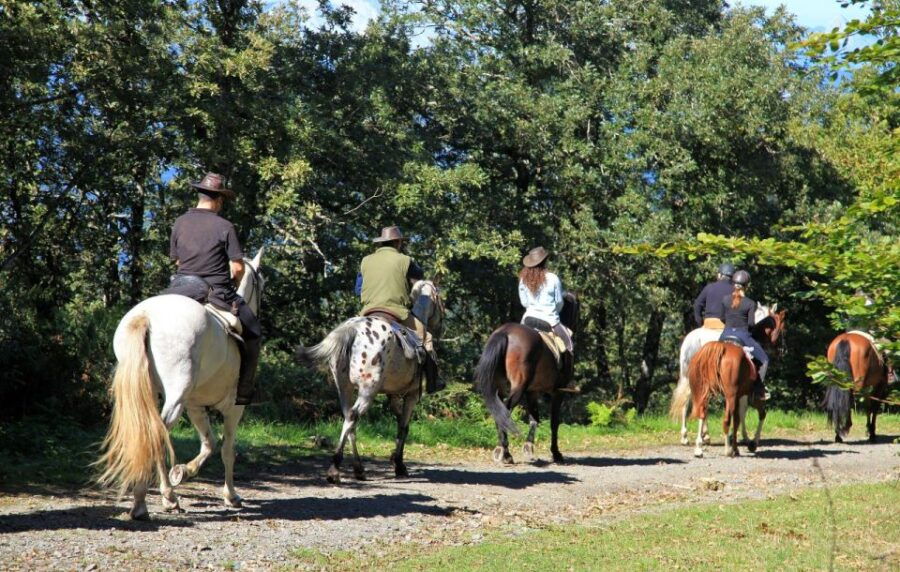 Horse Riding Through the Valleys + Food Tasting - Pricing Information